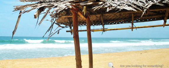 Scintillate 2010 - HIkkaduwa